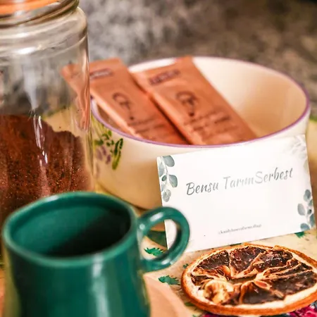 Kandybos Eco Farm Village فندق