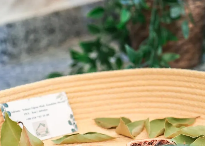 Kandybos Eco Farm Village